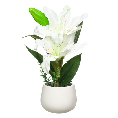 Vazo me lule e bardhe 22 cm
