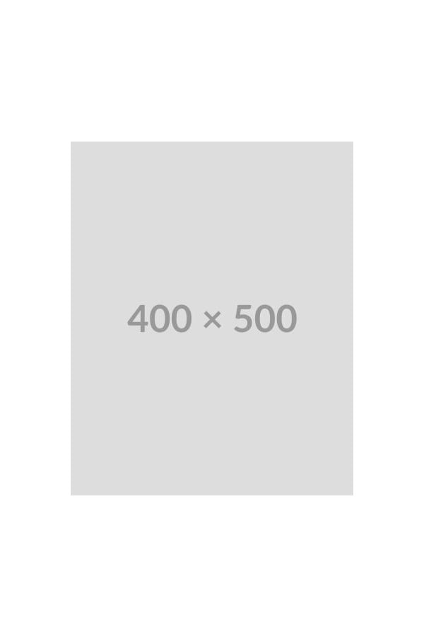 400x500