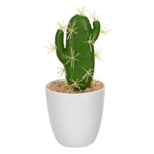 Vazo e bardhë me bimë kaktus, 16 cm