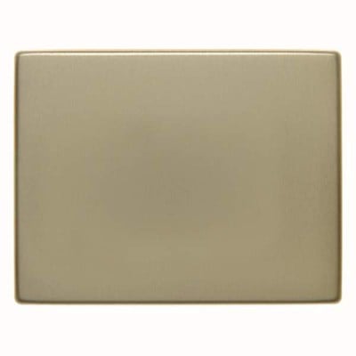 Berker Plate Switch/Button Gold Arsys