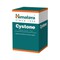 Himalaya Cystone - Υγιές Ουροποιητικό, 60 tabs