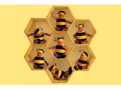 عسل النحل وفوائده خلال الحمل