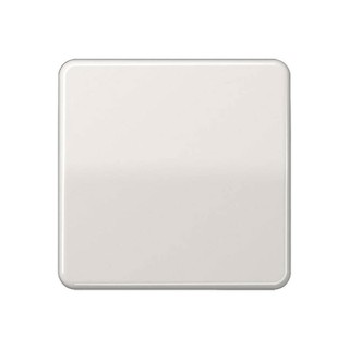 Jung Switch/Button Plate Light Gray CD590LG