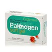Evdermia Palmogen Soft Gel - Τριχόπτωση, 30 soft gels