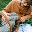 Τα οφέλη της επαφής με τα ζώα στα μικρά παιδιά είναι πολλά 