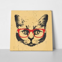 Portrait british shorthair cat 551277349 a