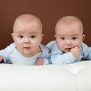 Как се раждат близнаците и тризнаците?