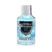 Marvis Anise Mint Mouthwash - Συμπυκνωμένο Στοματικό Διάλυμα (Γλυκάνισο & Μέντα), 120ml