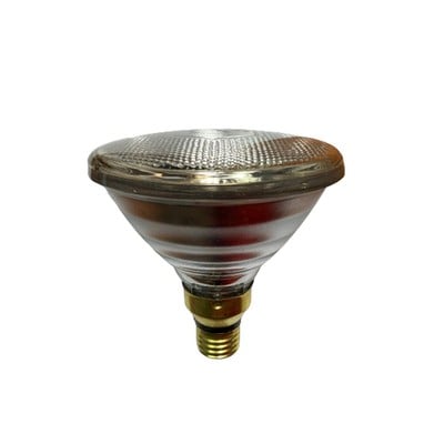 Halogen Lamp Hard Glass Par38 120W Ε27 125V