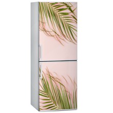 Palm leaves on pink a