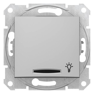 Sedna Push Button with Indicator and Light Symbol 