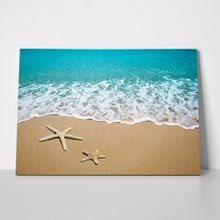 Starfishes on beach sand