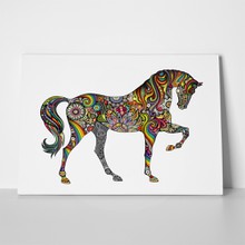Horse rainbow 146342552 a