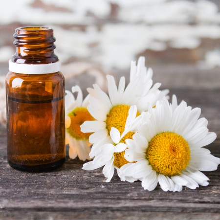 ROMAN CHAMOMILE ESSENTIAL OIL - Aurora Sense