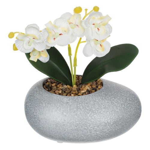 Vazo me gure dhe orkide te bardhe 14 cm