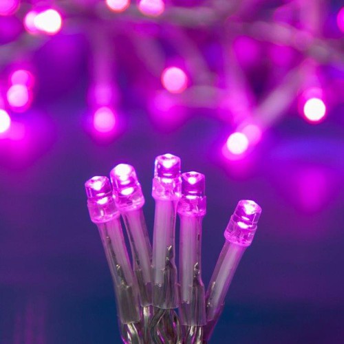 Drita Dekorative Led Ciklamin Indoor 100 Drita Me 
