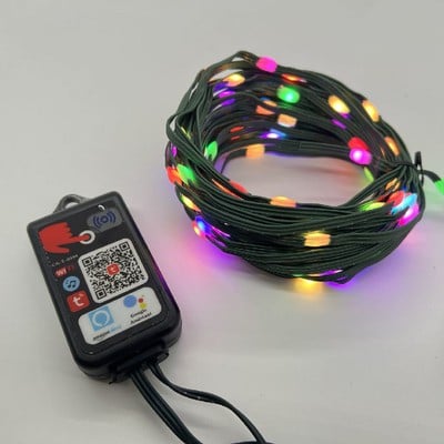 Rgb Christmas Light Smart With Green Cable 10M