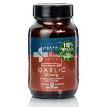 Terranova Garlic 500mg - Σκόρδο, 50caps