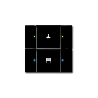 Button Multifunction 2/4F KNX Black Soft Touch 612