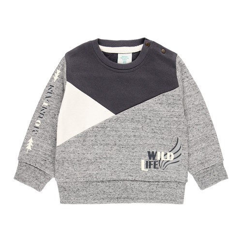 Fleece Sweatshirt For Baby Boy (323008)