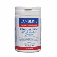 Lamberts Glucosamine & Phytodroitin Complex Vegan 