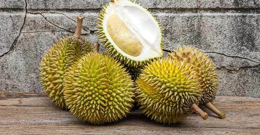 Puterea durianului – Poate vindeca infertilitatea?