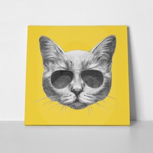 Hand drawn portrait cat sunglasses 272416442 a