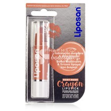 Liposan Crayon Lipstick Rosy Nude - Ενυδάτωση & Χρώμα, 3gr