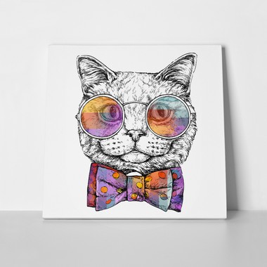 Cat portrait in glasses 662621437 a