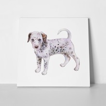 Watercolor puppy dalmatian 542758843 a