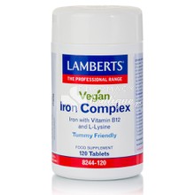 Lamberts Vegan Iron Complex - Φόρμουλα σιδήρου και Β12 για χορτοφάγους, 120 tabs
