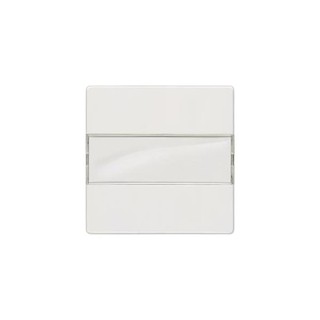 Switch Plate with Label White 5TG6210