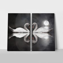 Romantic swans