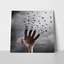 Hand transforming into birds 328057253 a