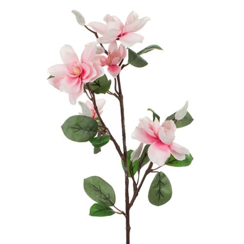 Lule magnolia roze 72 cm 