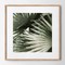 Abstract palm leaves wood