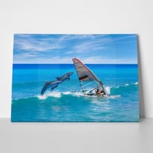 Windsurfer and dolphins 509152828 a