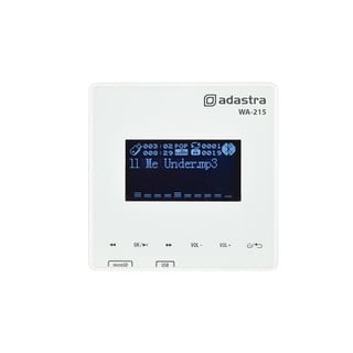 Bluetooth-Media Player and Digital Amplifier 953.1