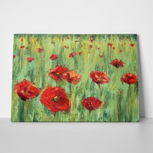 Poppies field 390950758 a