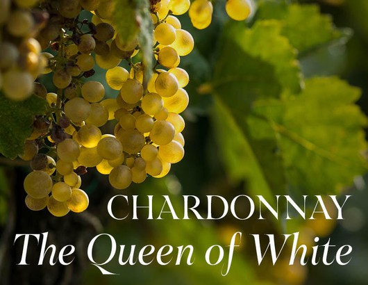 Chardonnay : The Queen of White!