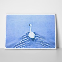 Water color painting white swan 259264115 a
