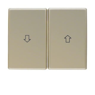 Berker Arsys Blinds Switch 2 Gangs Plate with Arro