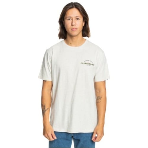 Quiksilver Mens Arched Type Ss