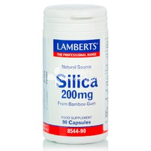 Lamberts SILICA - Υγεία Δέρματος, 90 caps