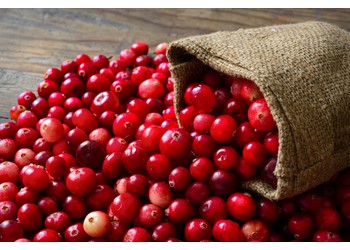 Cranberry + προβιοτικά: ο καλύτερος συνδυασμός ενά