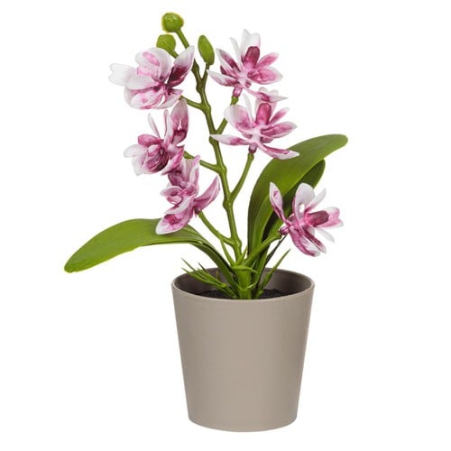 Vazo dekoruese me lule orkide roze 12x6x17 cm