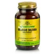 Solgar Ginkgo Biloba Leaf Extract - Μνήμη, 60 caps