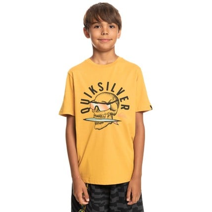 Quiksilver Boy T-Shirts Qs Rockin Skull Ss Youth (