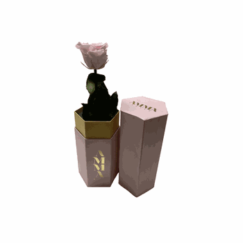 Endless™ Vase Pink