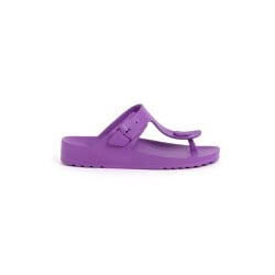 Scholl Bahia Flip Flop Γυναικεία Ανατομική Παντόφλα Dark Purple No.37 1 ζευγάρι 